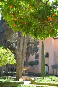 Alhambra gardens 01