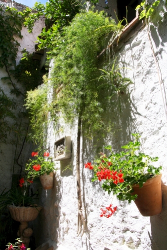 The internal courtyard